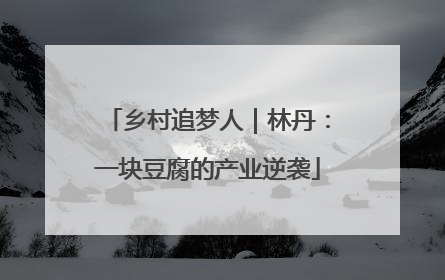 乡村追梦人｜林丹：一块豆腐的产业逆袭